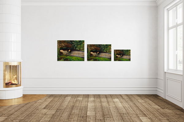 Ofelia - Millais - Imagen 3